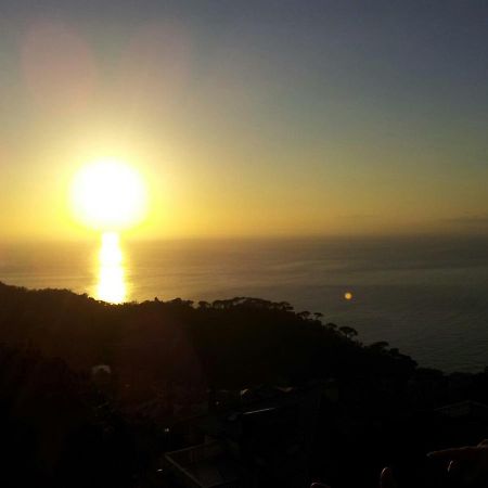 B&B Villa Orchidea Camogli Eksteriør bilde