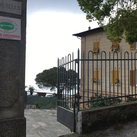 B&B Villa Orchidea Camogli Eksteriør bilde