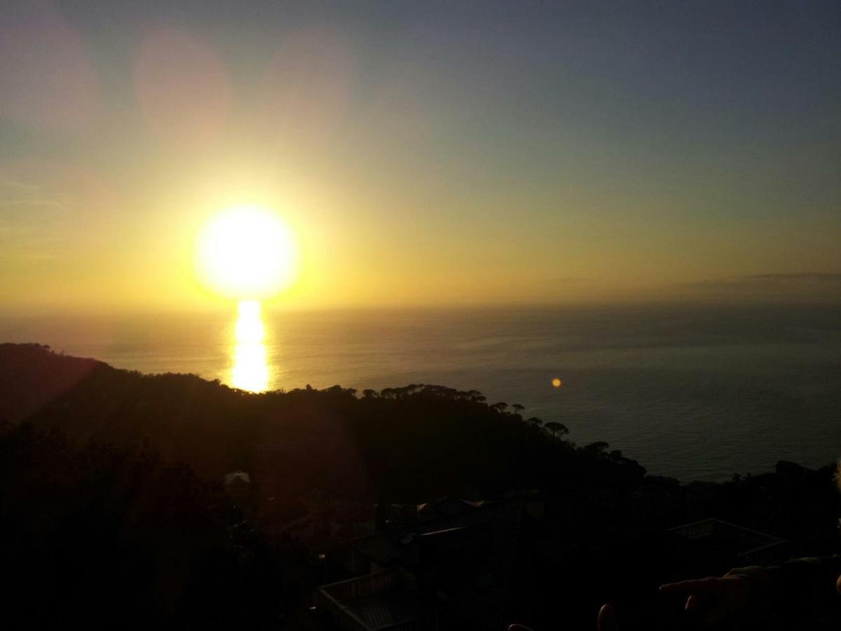B&B Villa Orchidea Camogli Eksteriør bilde