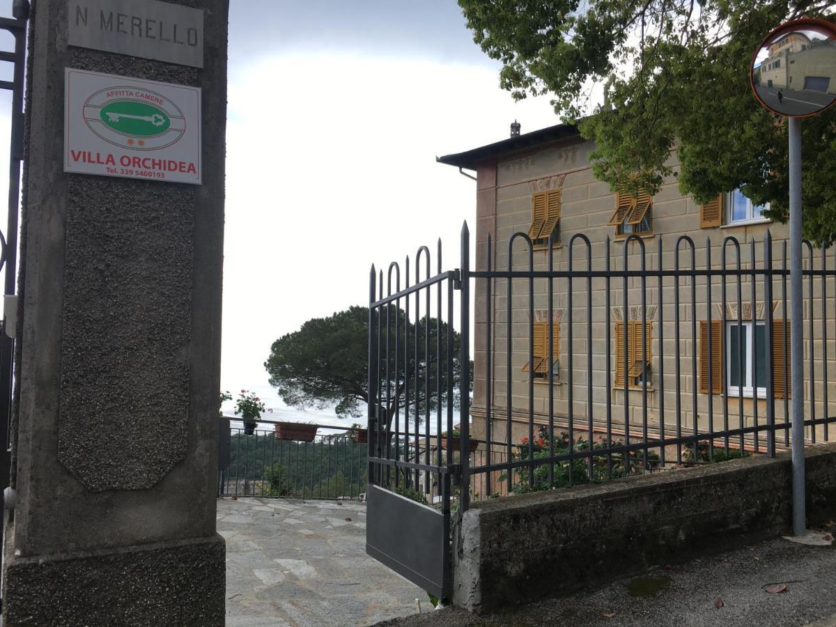 B&B Villa Orchidea Camogli Eksteriør bilde