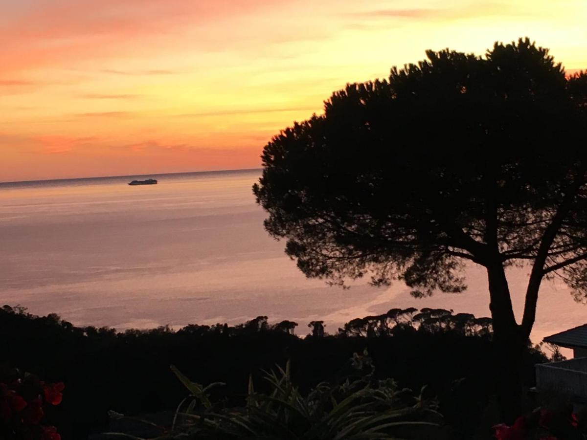 B&B Villa Orchidea Camogli Eksteriør bilde