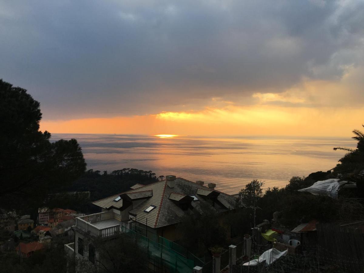 B&B Villa Orchidea Camogli Eksteriør bilde