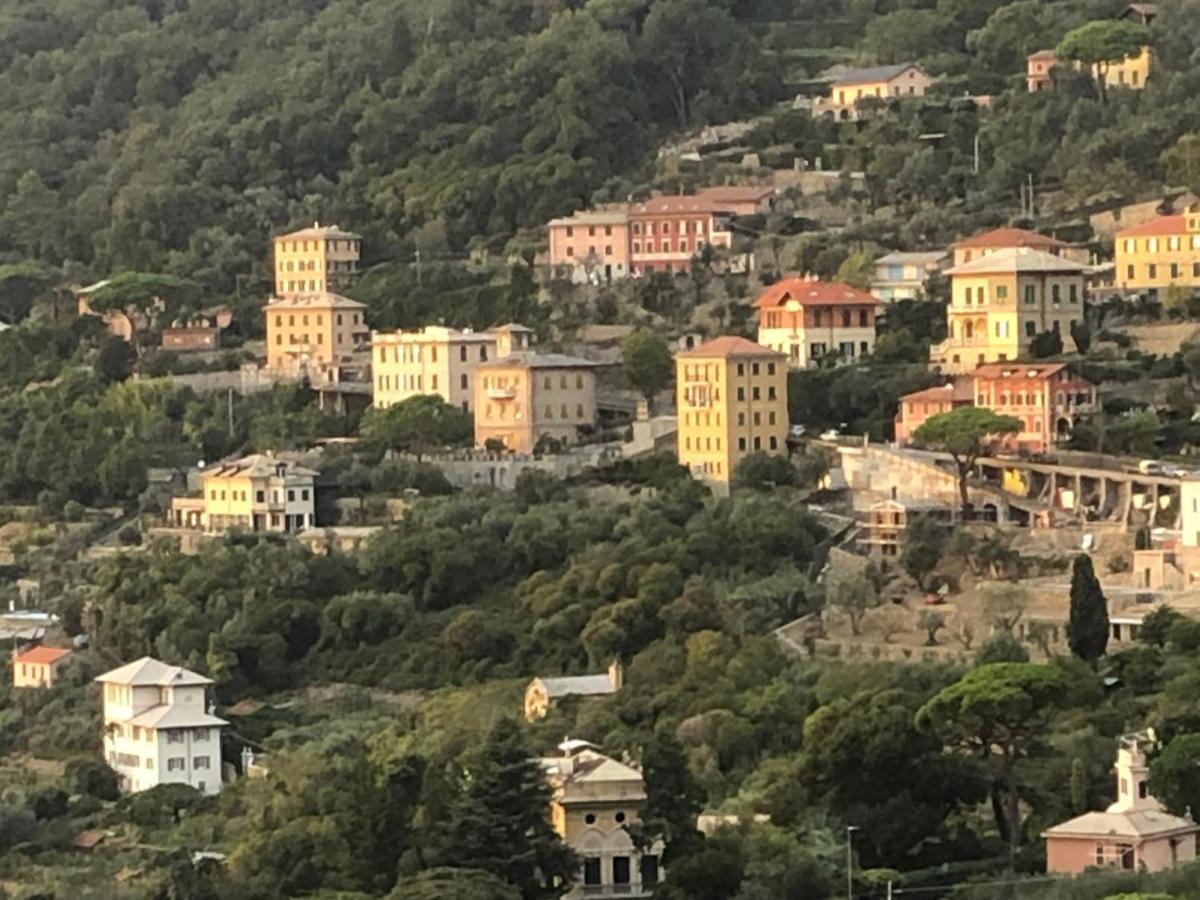 B&B Villa Orchidea Camogli Eksteriør bilde