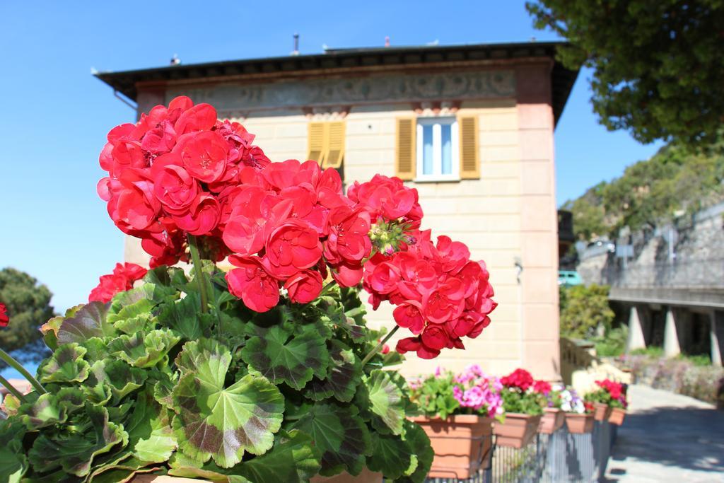 B&B Villa Orchidea Camogli Eksteriør bilde